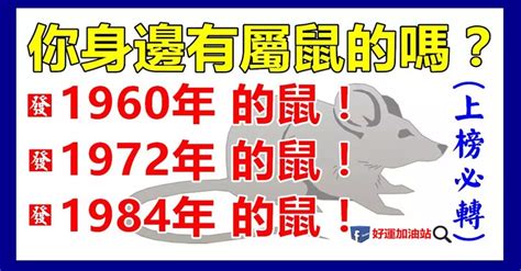 1960年屬鼠|【1960年五行屬什麼】1960年出生的屬鼠人一生運勢大解析！